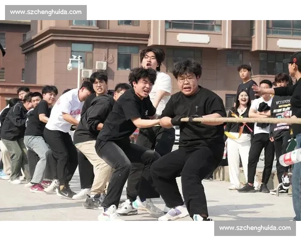 传统与现代融合的拔河比赛展现团队精神与协作力量的盛大赛事